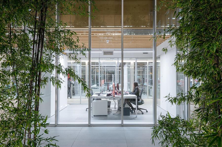 庭院看办公空间@Giovanni De Sandre .jpg